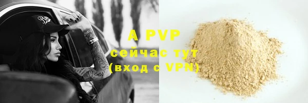 индика Протвино