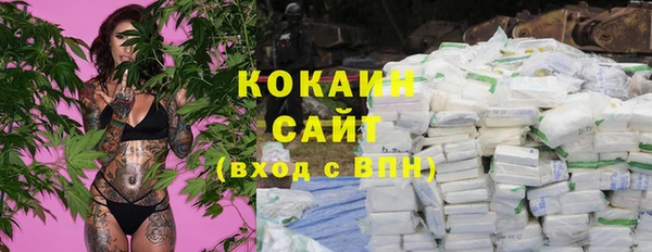 ешки Алзамай