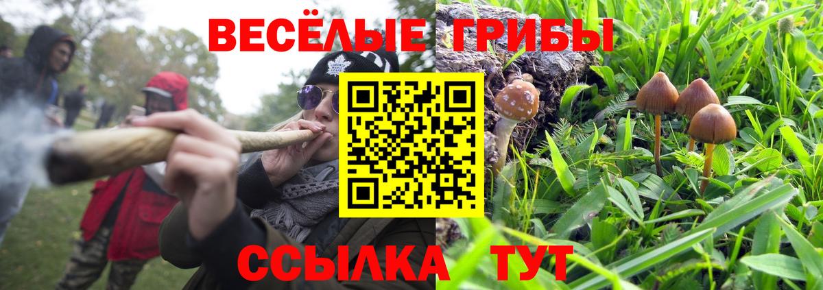 где найти наркотики  Галлюциногенные грибы Magic Shrooms  Вход с VPN  Краснознаменск 
