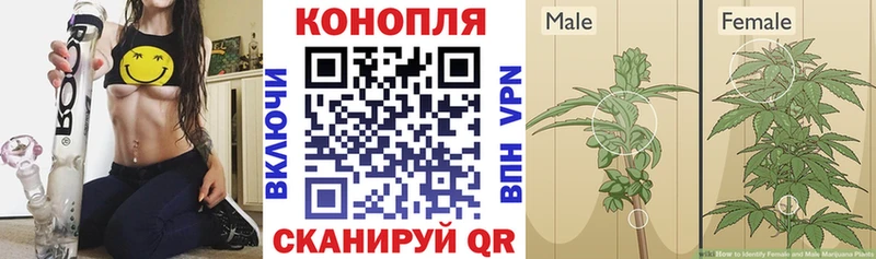 Бошки марихуана AK-47  мориарти состав  Краснознаменск 